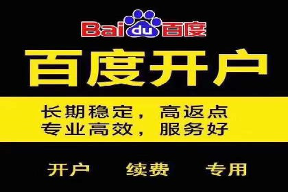 精准投放，高效转化——网站sem托管的胜利案例